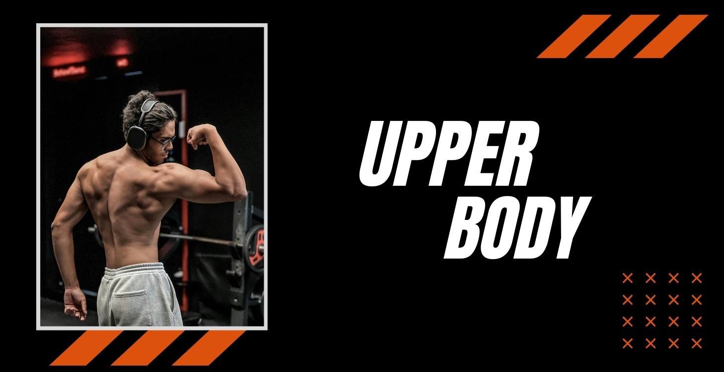 Introduction to the Upper Body