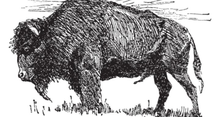 LAWS CO. Personal Development