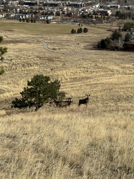 2 Early Bird Spots Left