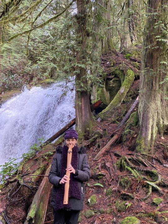 Mycelium transport frequencies