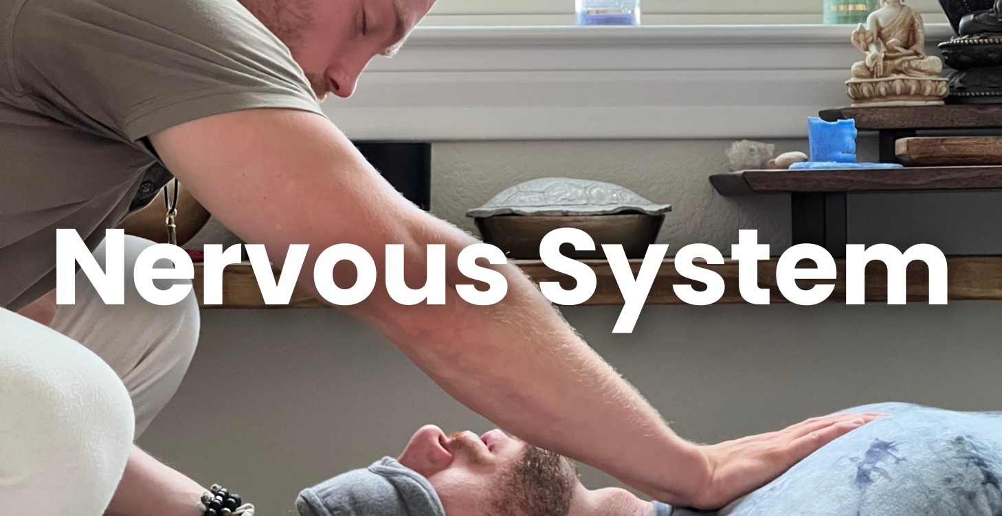 Nervous System Regulation