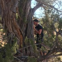 Giancarlo Martelozzo