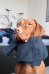 Linus B