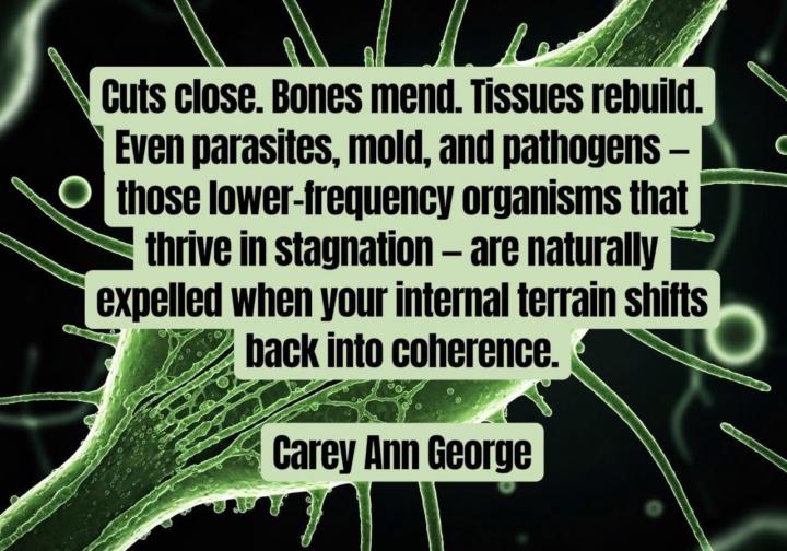 The Only Lasting Cure Is Found Within - Regulate