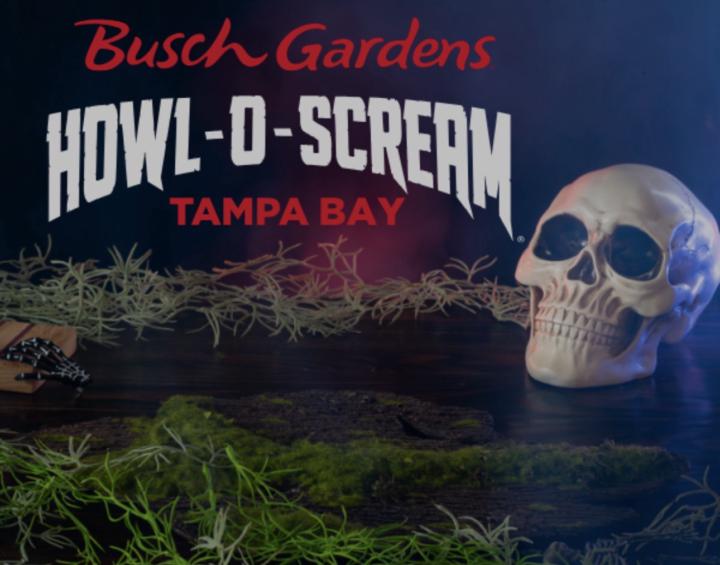Anyone interested in going to Howl-O-Scream and/or Scream-A-Geddon?