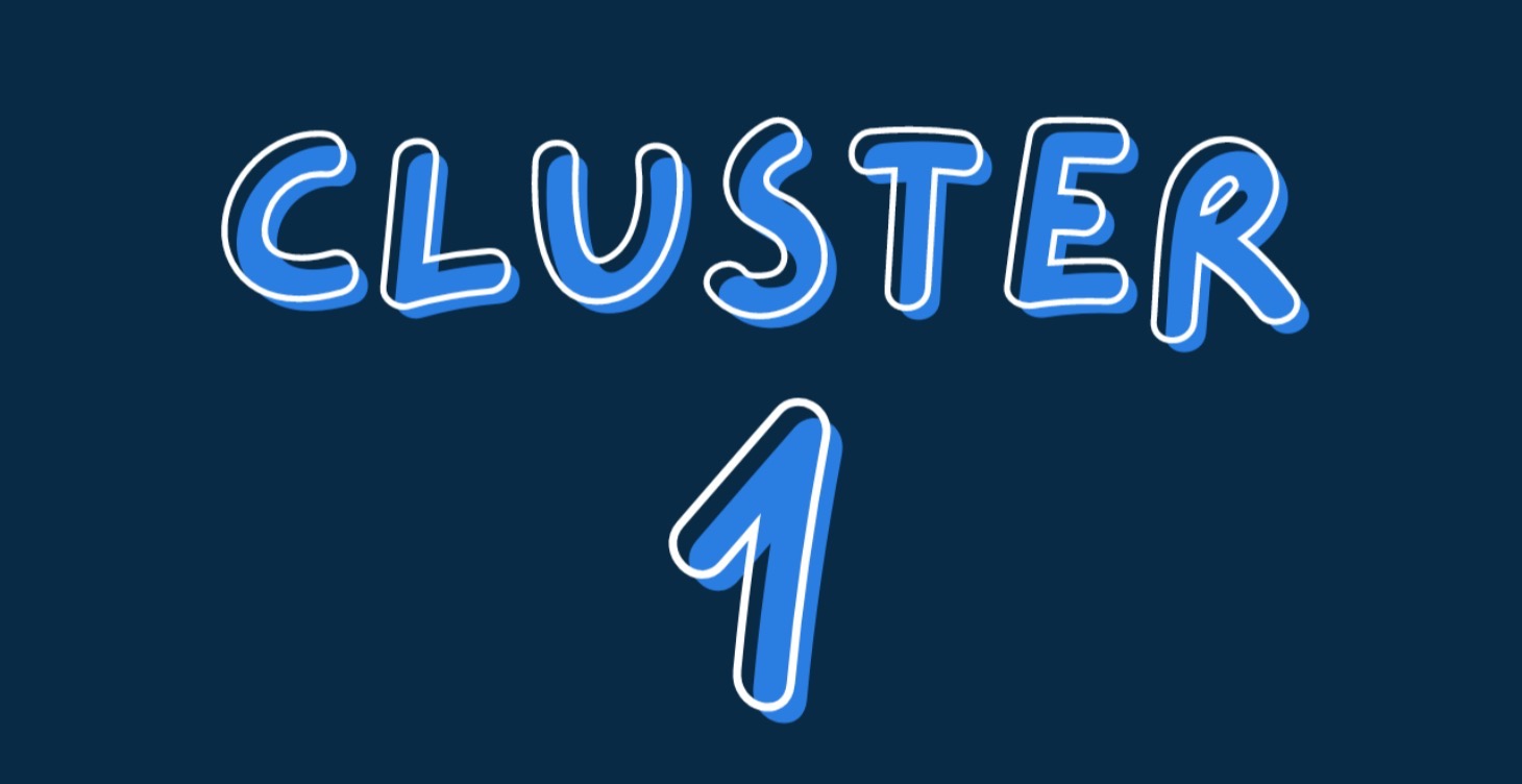 Cluster 1