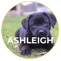 Ashleigh MacLachlan