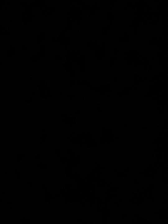 Abdulrahman Alkuwari