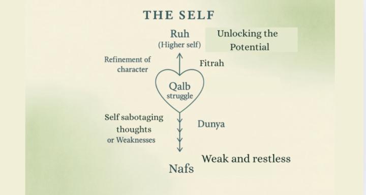 How To Self Coach Your Nafs ?