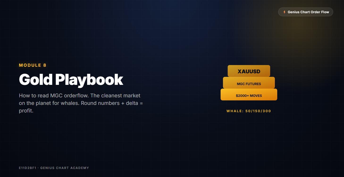 Module 8: 🥇 Gold Playbook