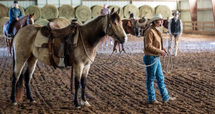 Equine Educators Guild