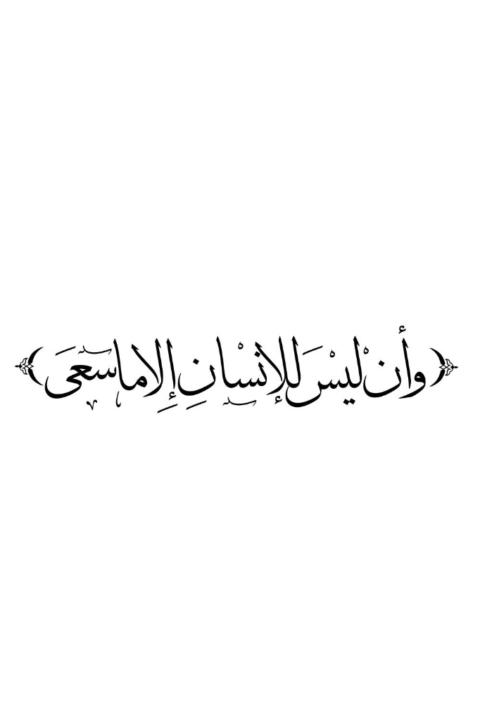 Amine Elhaid