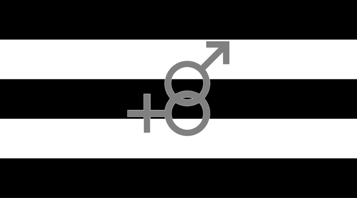 Straight Pride Flag