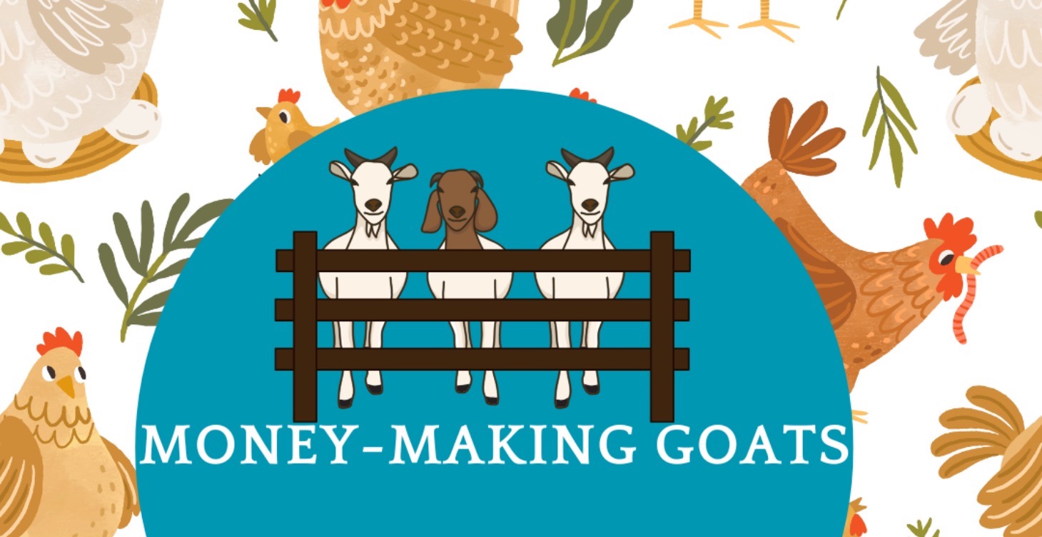 Money-Making Goats: A Homesteader’s Guide