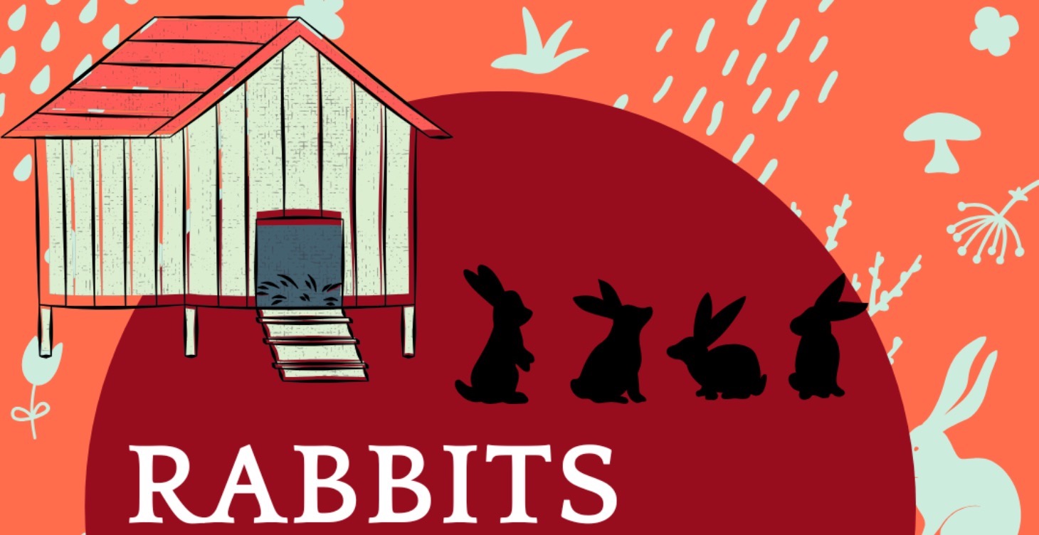 Money Making Rabbits: Homesteader's Guide