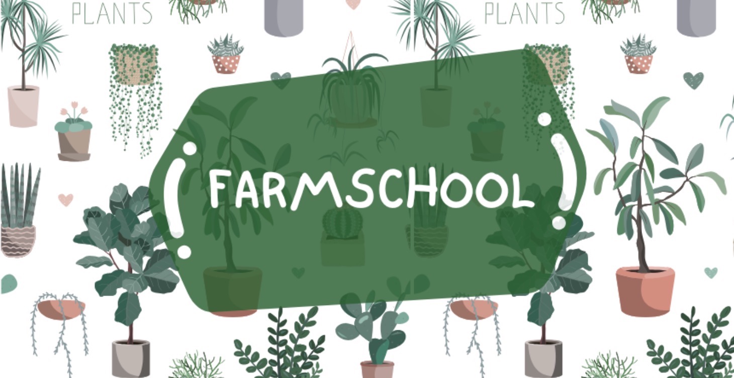Creating a Farm School