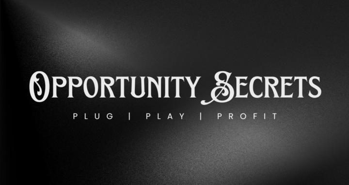 Opportunity Secrets