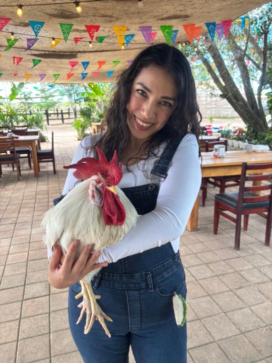 Lucía Alejandra Dzul Sánchez