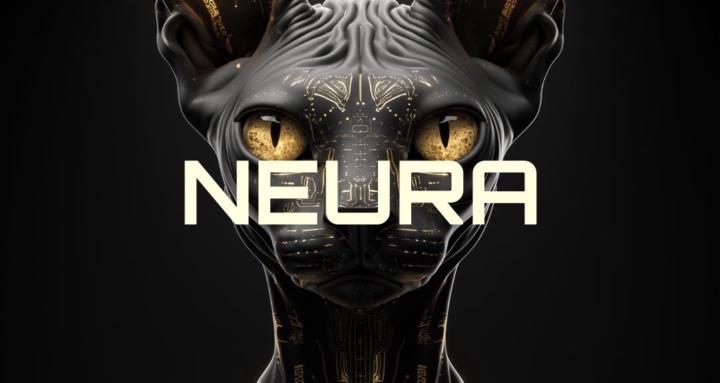 NEURAIA