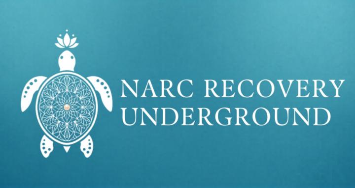 Narc Recovery Underground