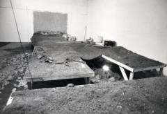 Julian laurence Samuels