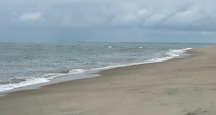 Raw & Radiant: Circle Time