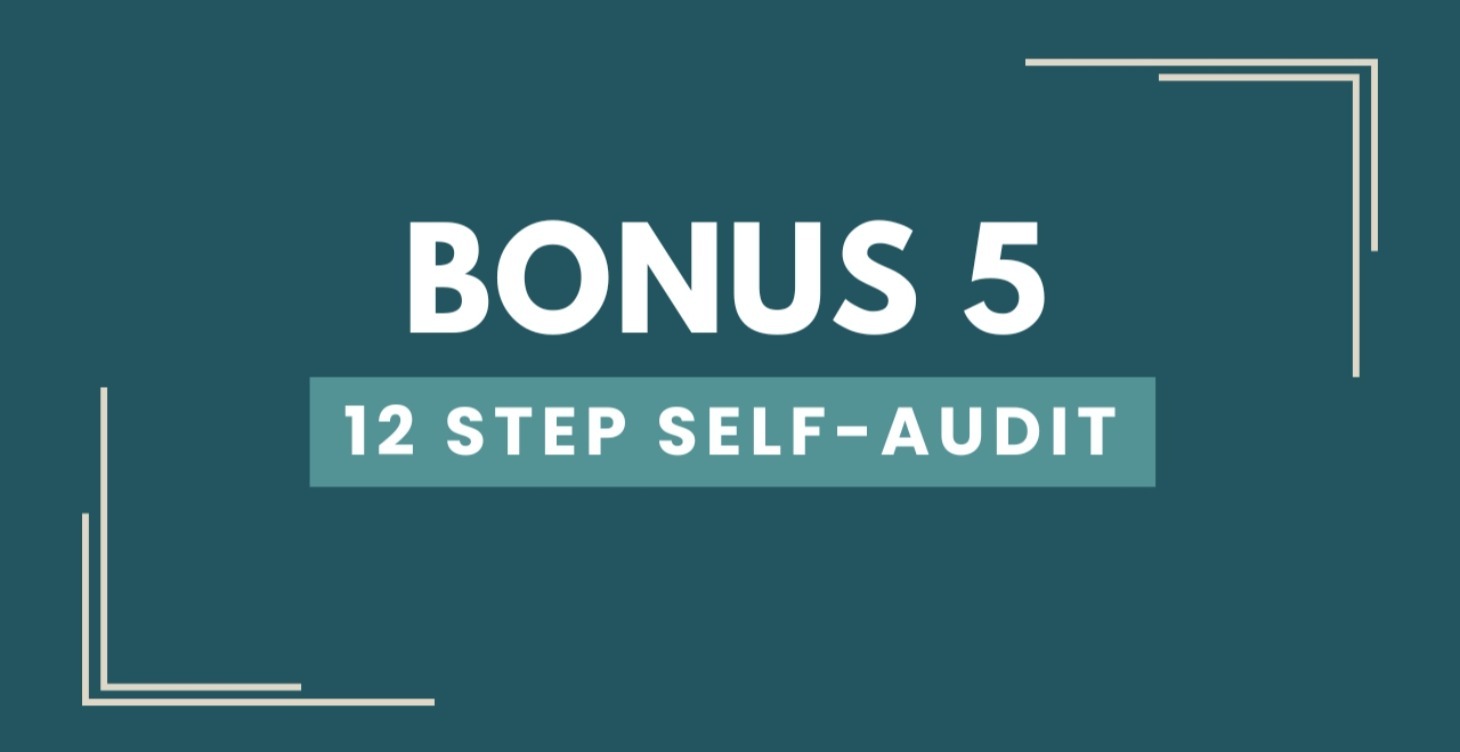 Bonus 5 - 12 Step Self-Audit