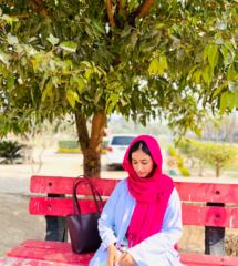 Nemat Noor