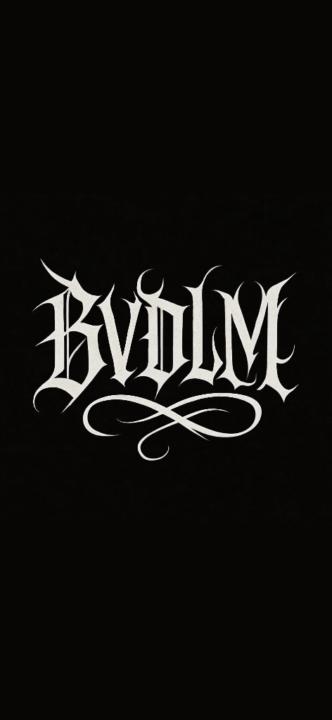Bvdlm Music