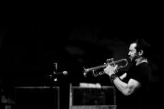 Michael Cottone
