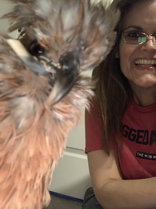 Greetings new friends!