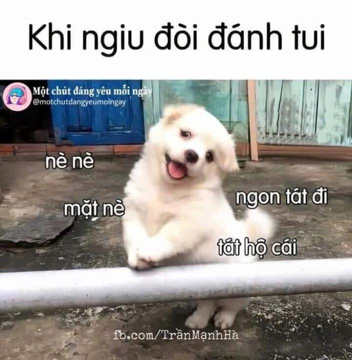 Bình yên Bình yên
