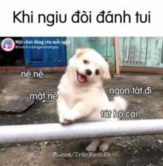 Bình yên Bình yên