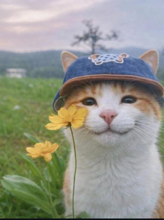 Mohamed Laqdach