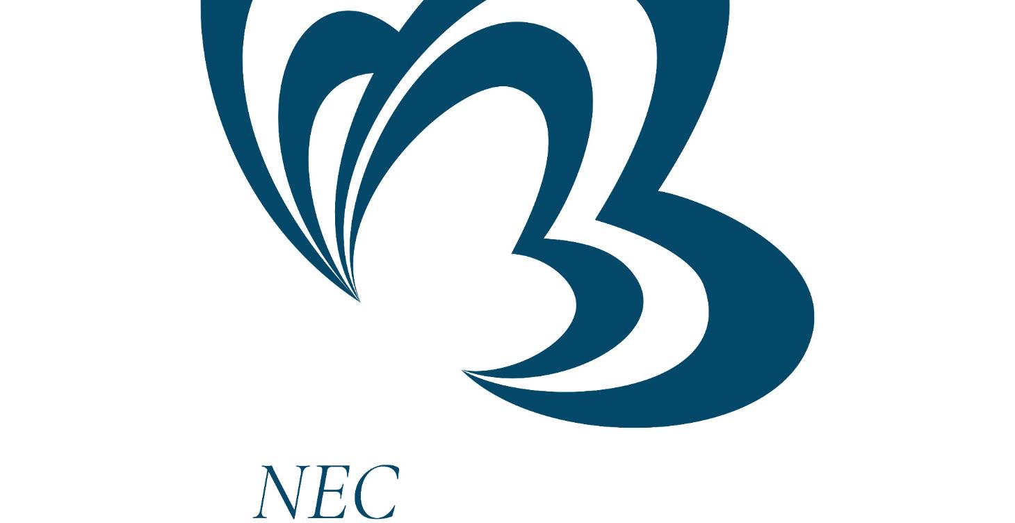 Steady Ground Growth