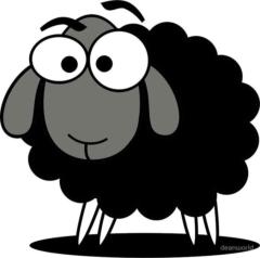 The Black Sheep The Affirmation Project
