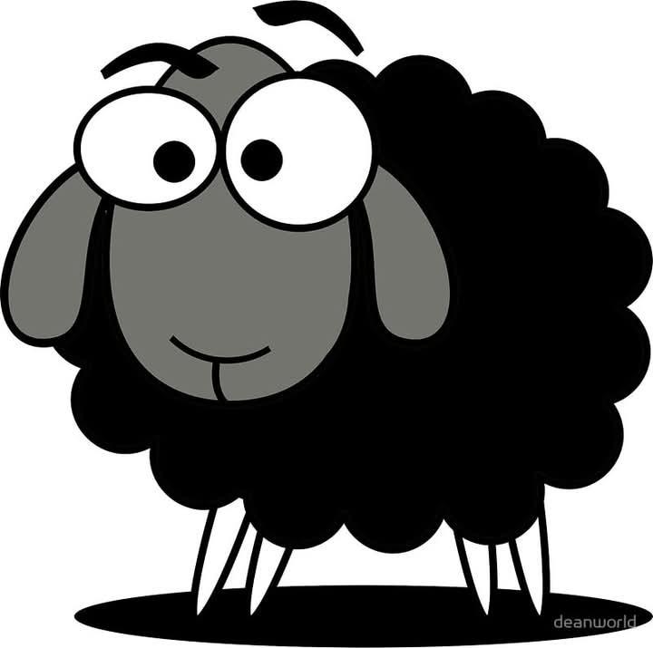 The Black Sheep The Affirmation Project