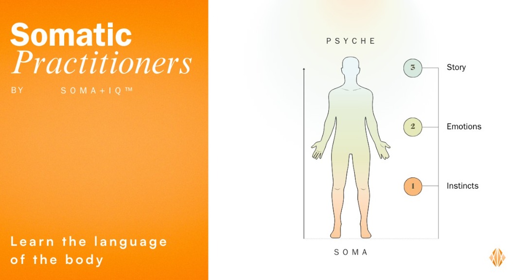 Soma+IQ Practitioner Group