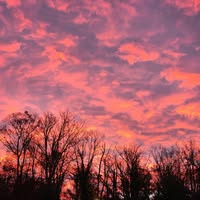 Leticia Litzenberger