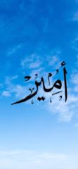 أمير بن محمد