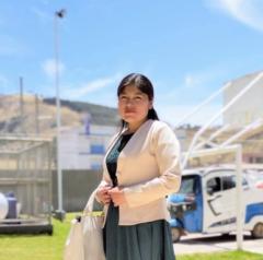 Rina Castillo Huanca Castillo huanca
