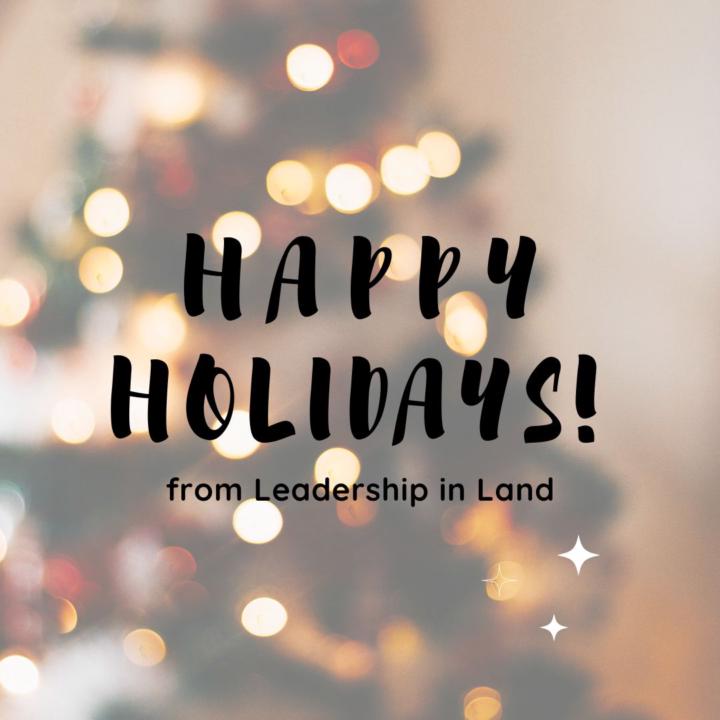 Wishing You a Peaceful Holiday Season!