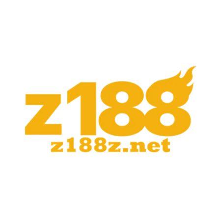 Zz Net