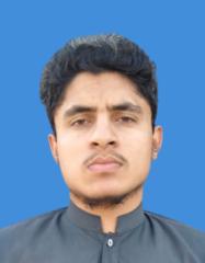 Muhammad Shahzaib