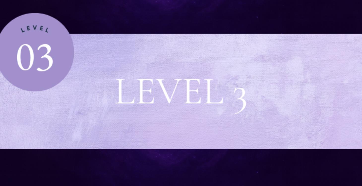 Level 3