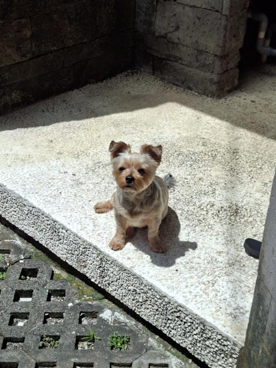 Yesterday was one of those days…