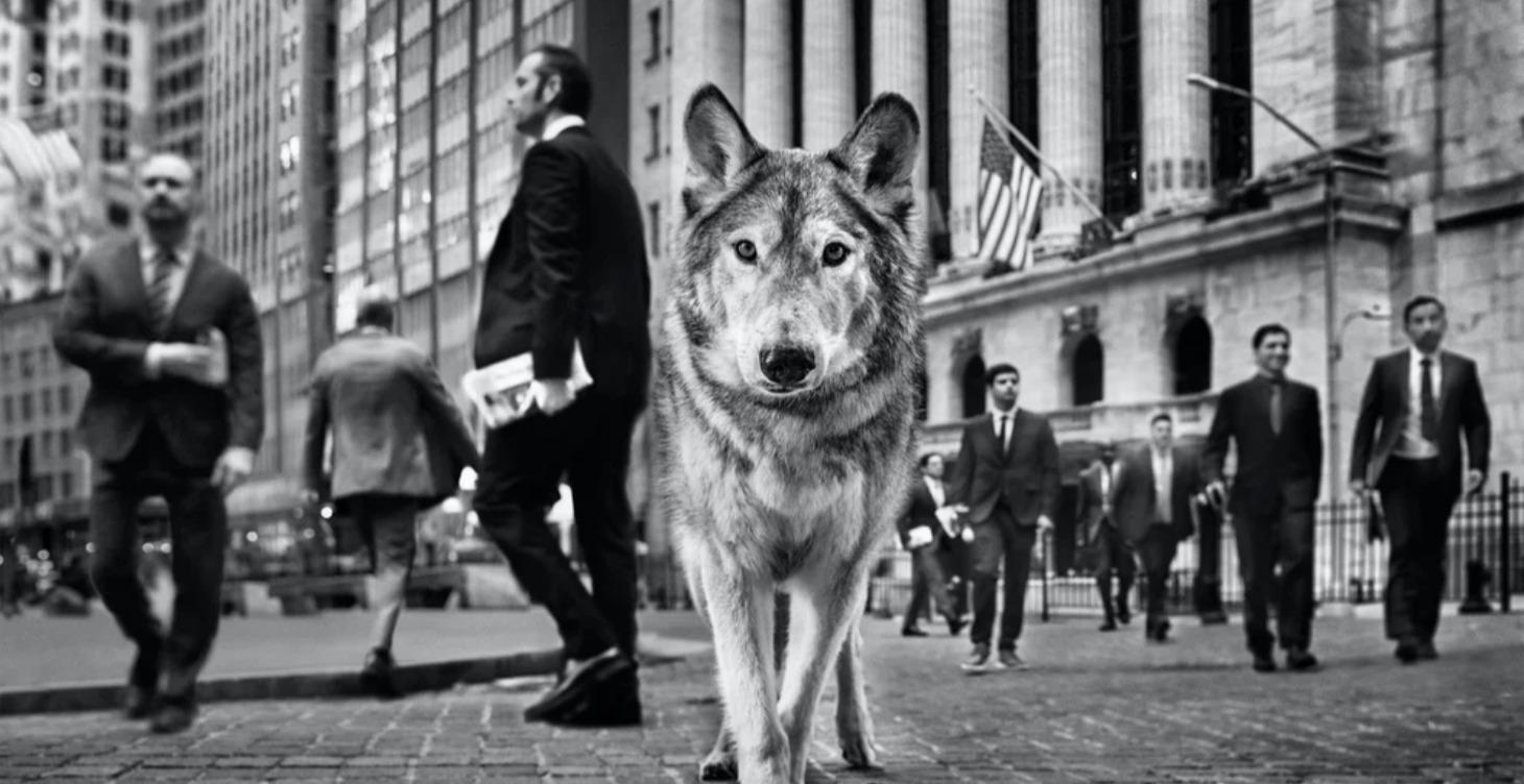 Financial Markets Overview