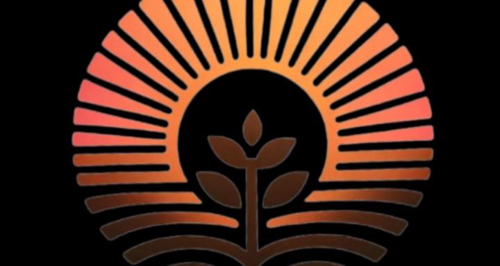 Holistic Simplicity