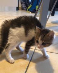 TheGodlyLifter TheGodlyLifter