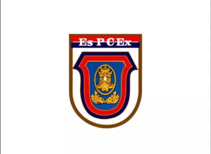 Vinicius A.f.